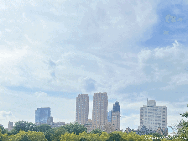 A skyline of New York City seen from Central Park.